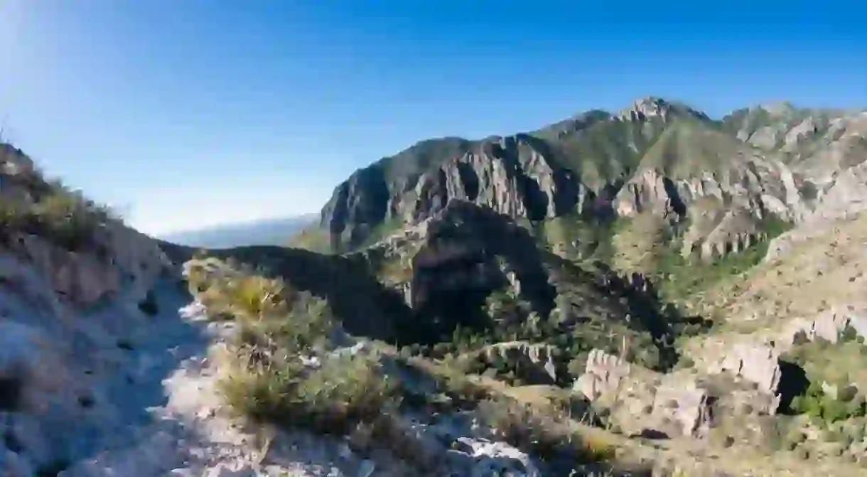 Keep an eye out for fossils in the Guadalupe Mountains National Park