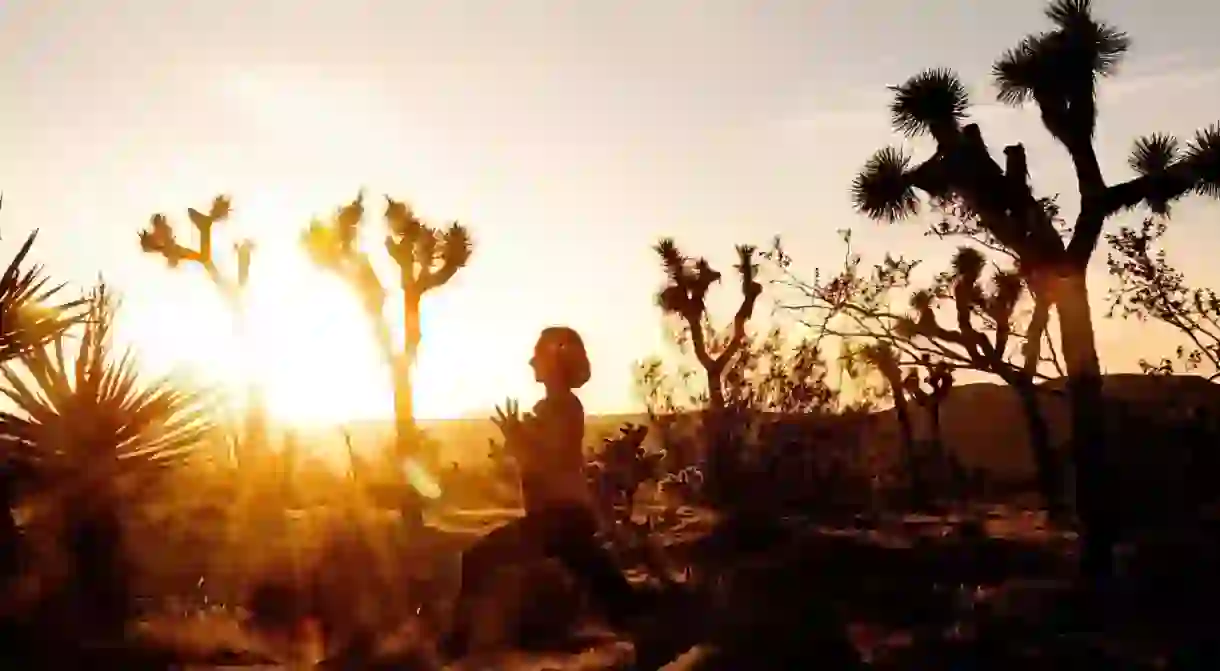 Reconnect with nature and yourself by practicing yoga in Joshua Tree