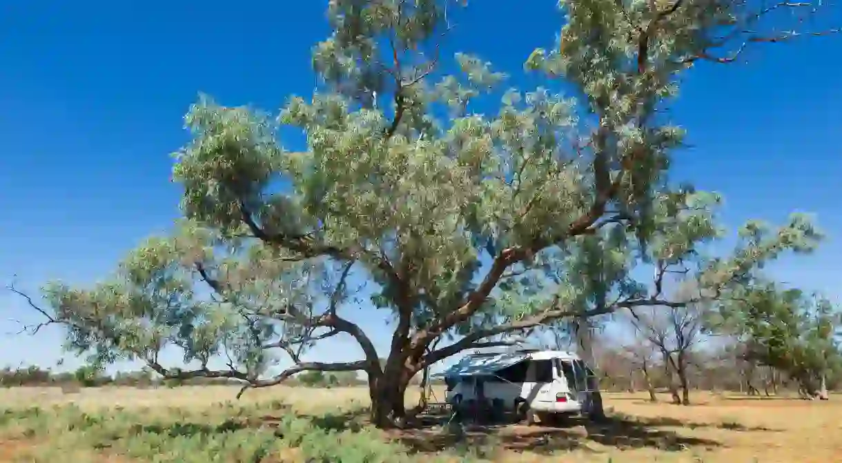 Connect with nature on a camping trip to Charlotte Plains in Queensland, Australia