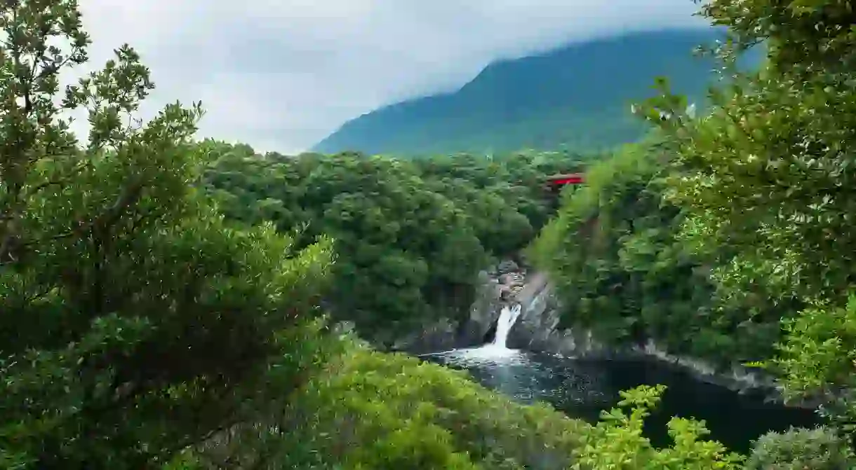 Toroki Falls is part of the fairytale landscape of Yakushima, one of Japans magical destinations yet to hit the mainstream