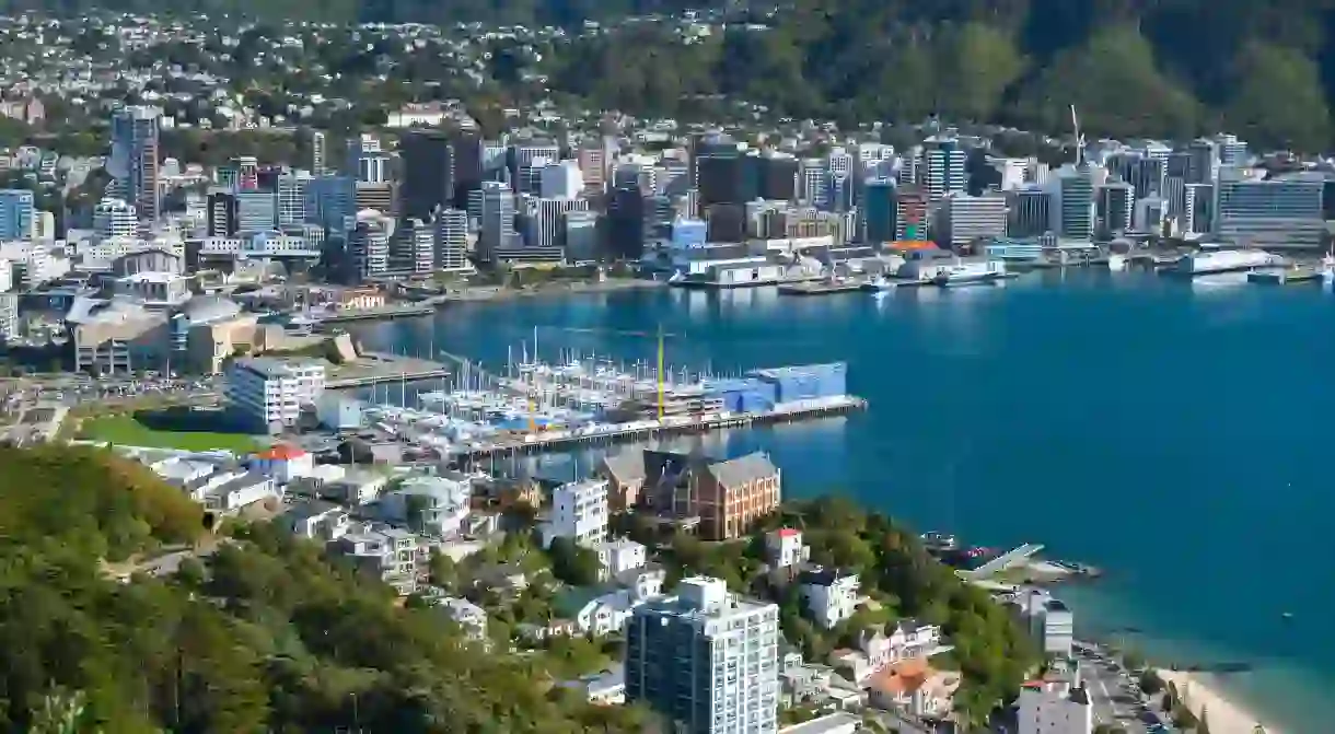 The view from Mount Victoria over Wellington Harbour is spectacular