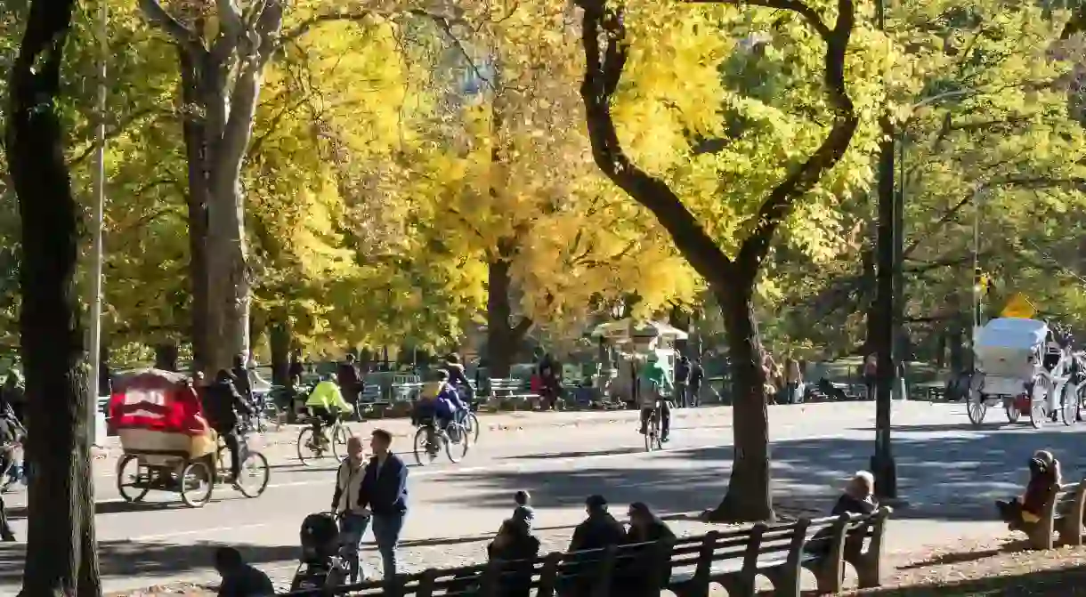 HDR287 People Enjoying Central Park in the Fall, NYC, USA