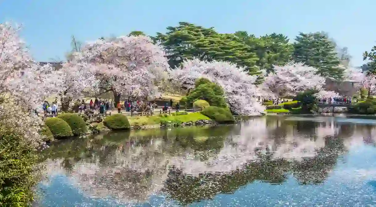 Visit Tokyo to experience the magic of cherry blossom season, then rest your head in your own apartment