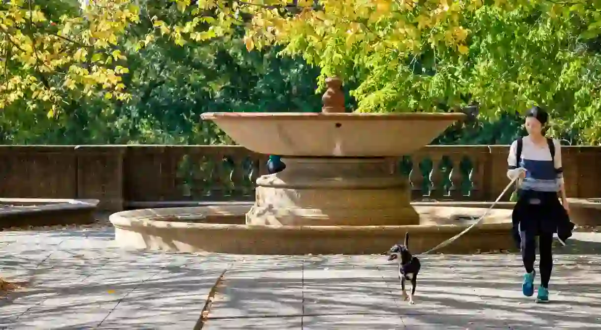 Take your pooch for a walk at Meridian Hill Park in Washington DC