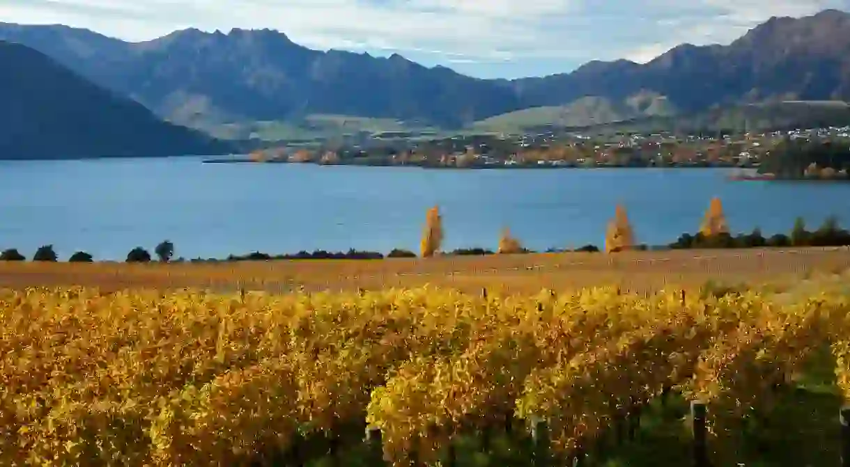 Lake Wanaka is one of New Zealands unique wine producing areas worth exploring