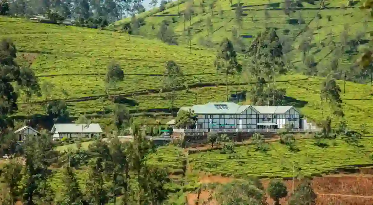 Stay amid tea leaf-carpeted panoramas at the Amaya Langdale, near Nuwara Eliya