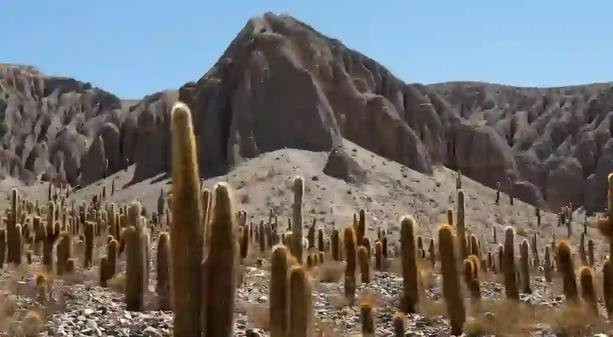 The area around Salta is home to atmospheric desert landscapes