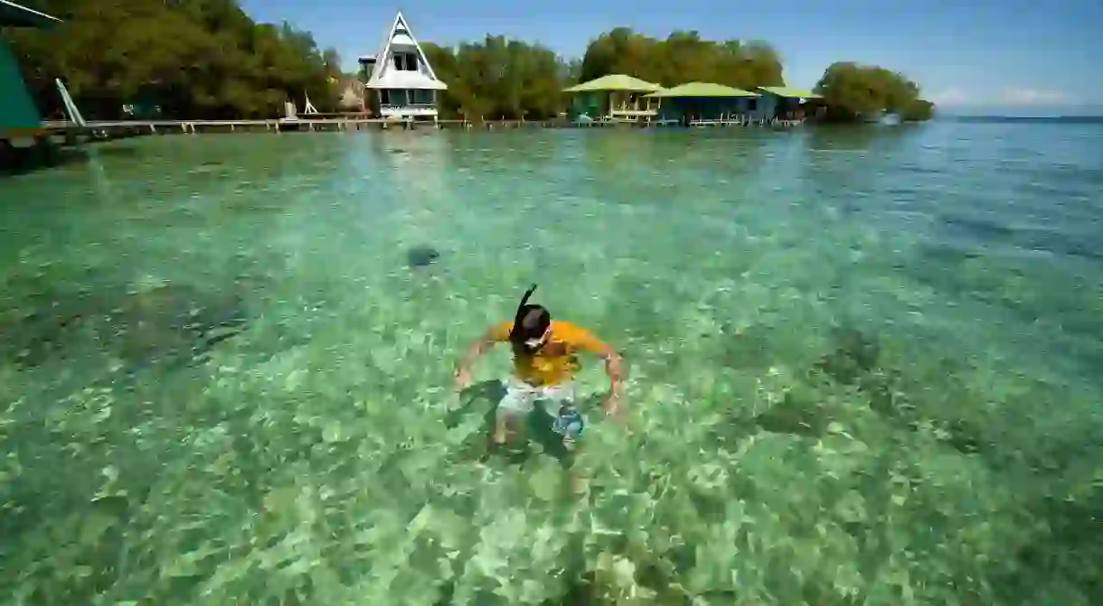 CF3Y16 snorkeling in the clear water of the small Caribbean island of Coral Key, Bocas del Toro, Panama, Central America