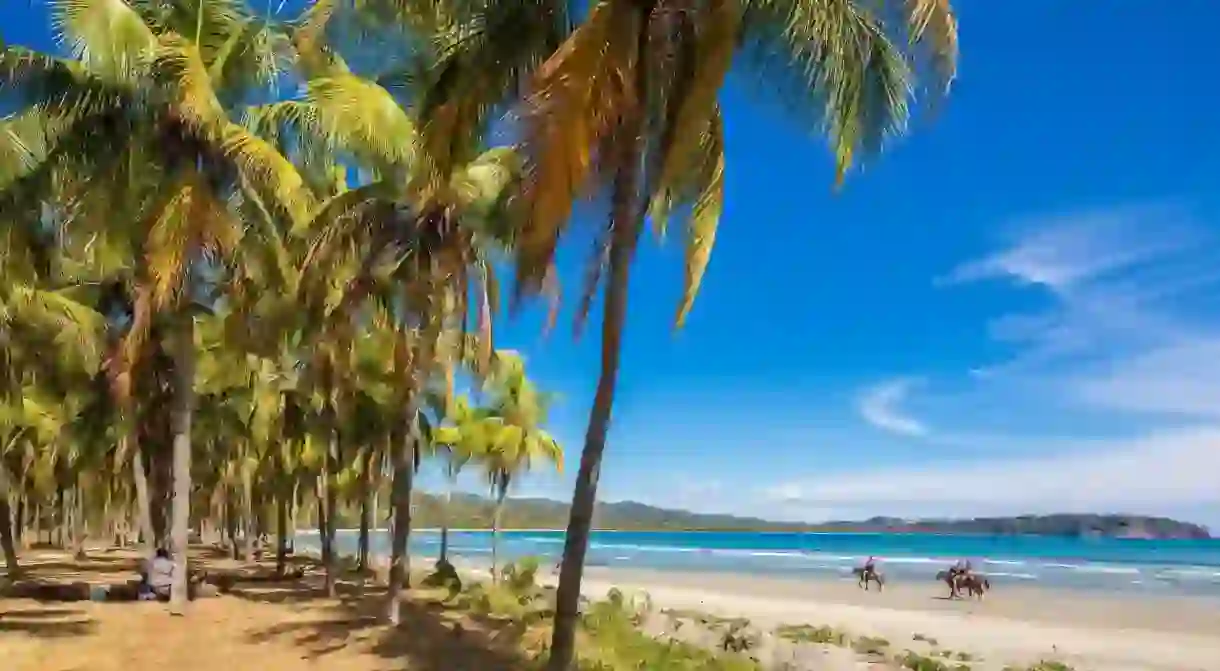 Playa Samara in Costa Rica is a dreamy beach with white sand and palm trees