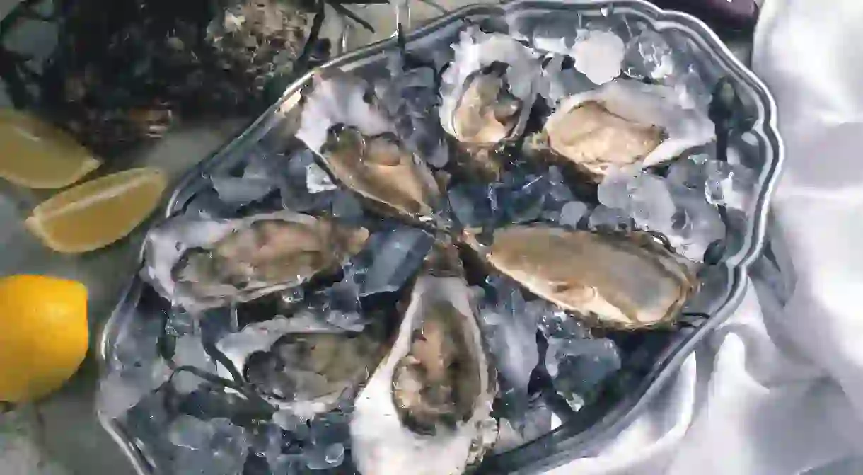 Tray of fresh oysters in shells