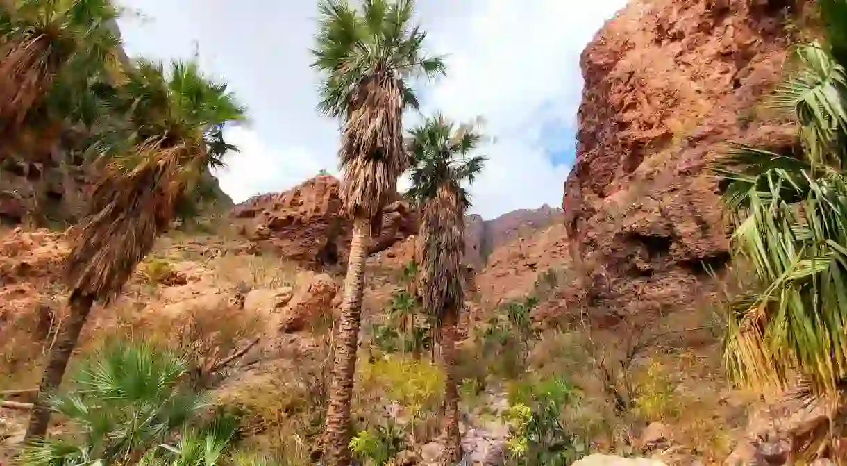 Hiking through Nacapule Canyon is one of the many activities in Sonora