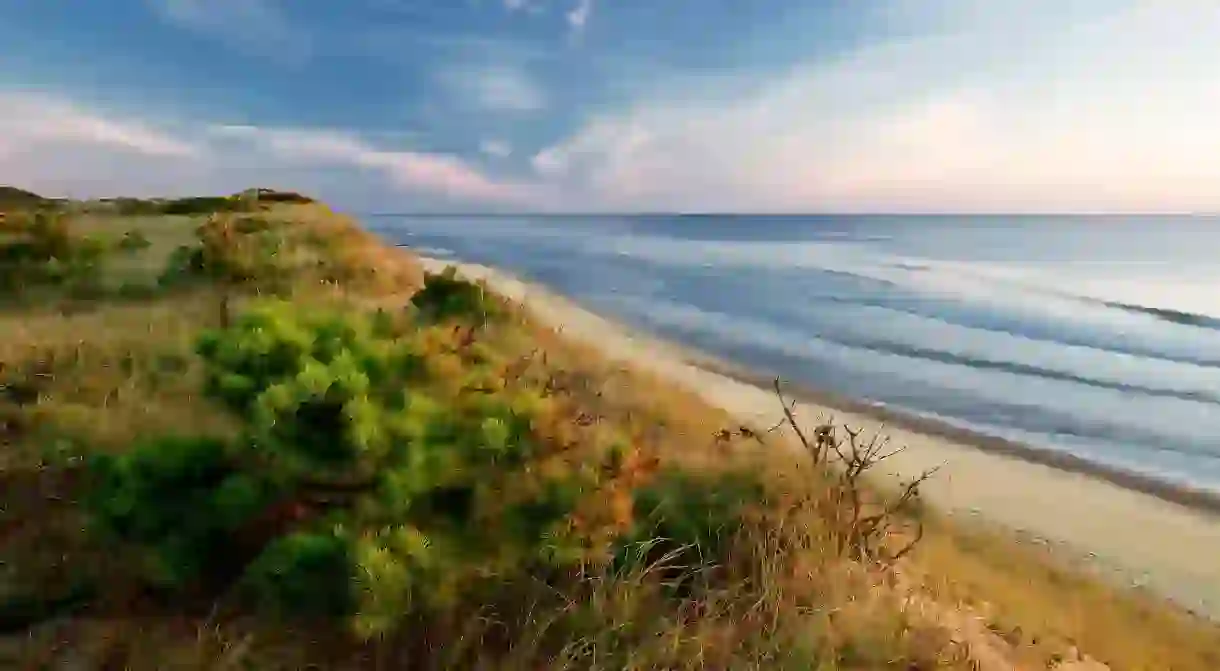 Explore parts of the Cape Cod National Seashore with your pup