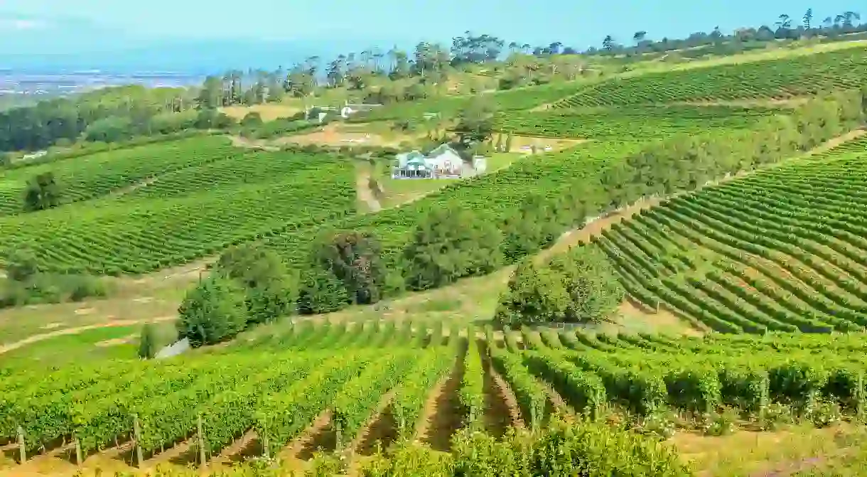 Make sure you factor in a stop at some of South Africas oldest vineyards in Constantia