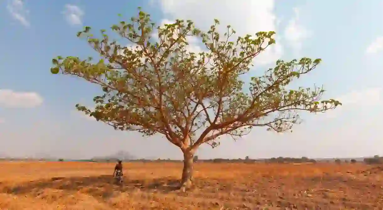 With captivating scenes like these, Lilongwe in Malawi is a wonderful place to visit all year round