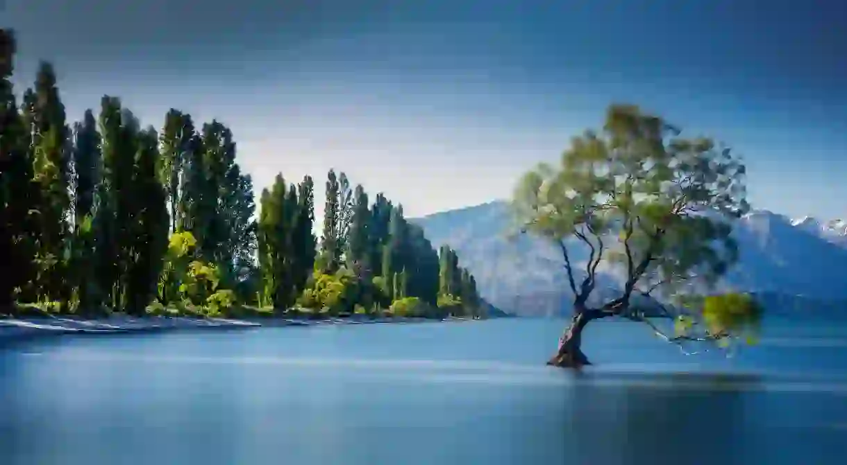 Lake Wanaka is one of the most iconic and beautiful locations in all of New Zealand