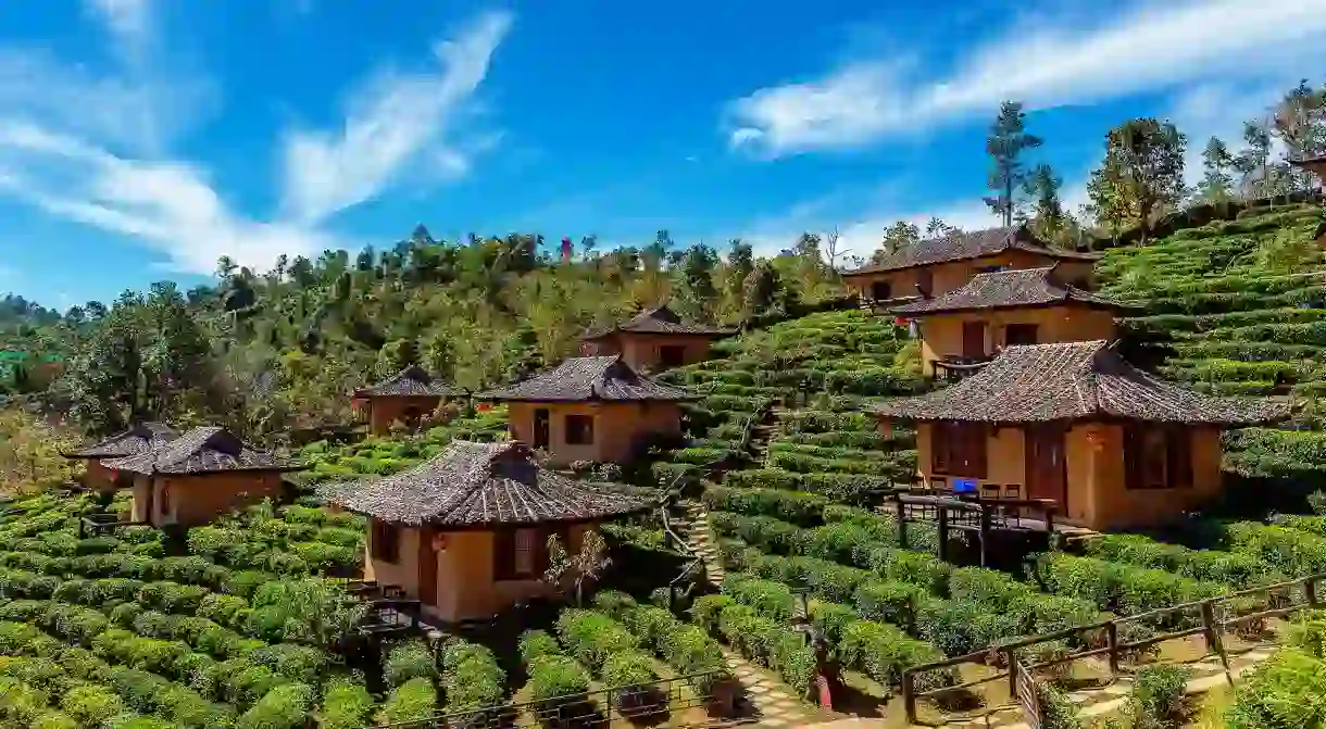 Ban Rak Thai is a lovely tea-growing village in Mae Hong Son