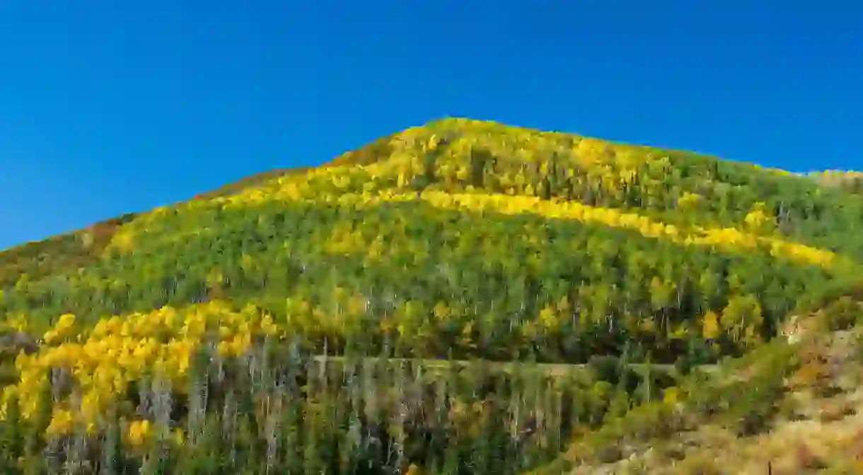 Colorado is just as stunning in the fall as it is in winter