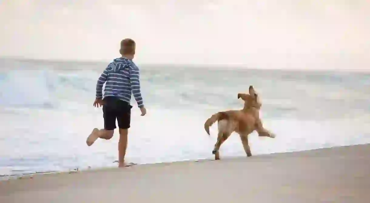 Visit Ocean City between October and April to frolic on the beach with your pup