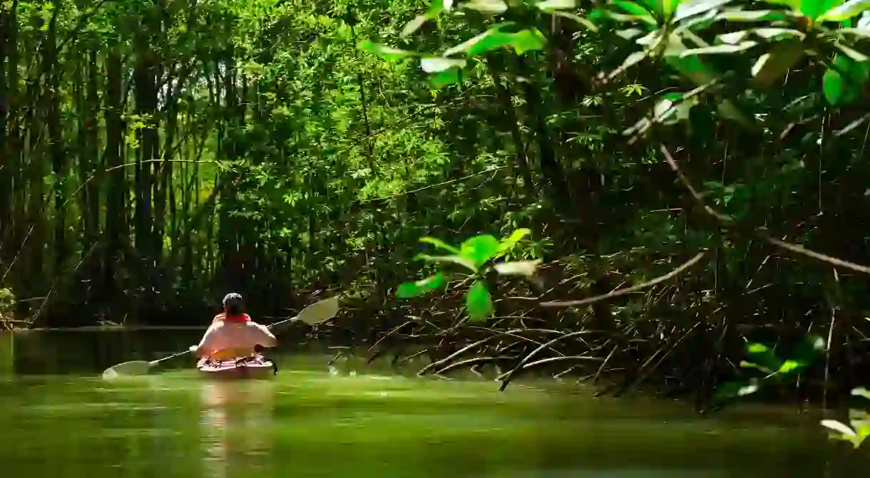 Costa Rica is a great place to reconnect with nature and yourself