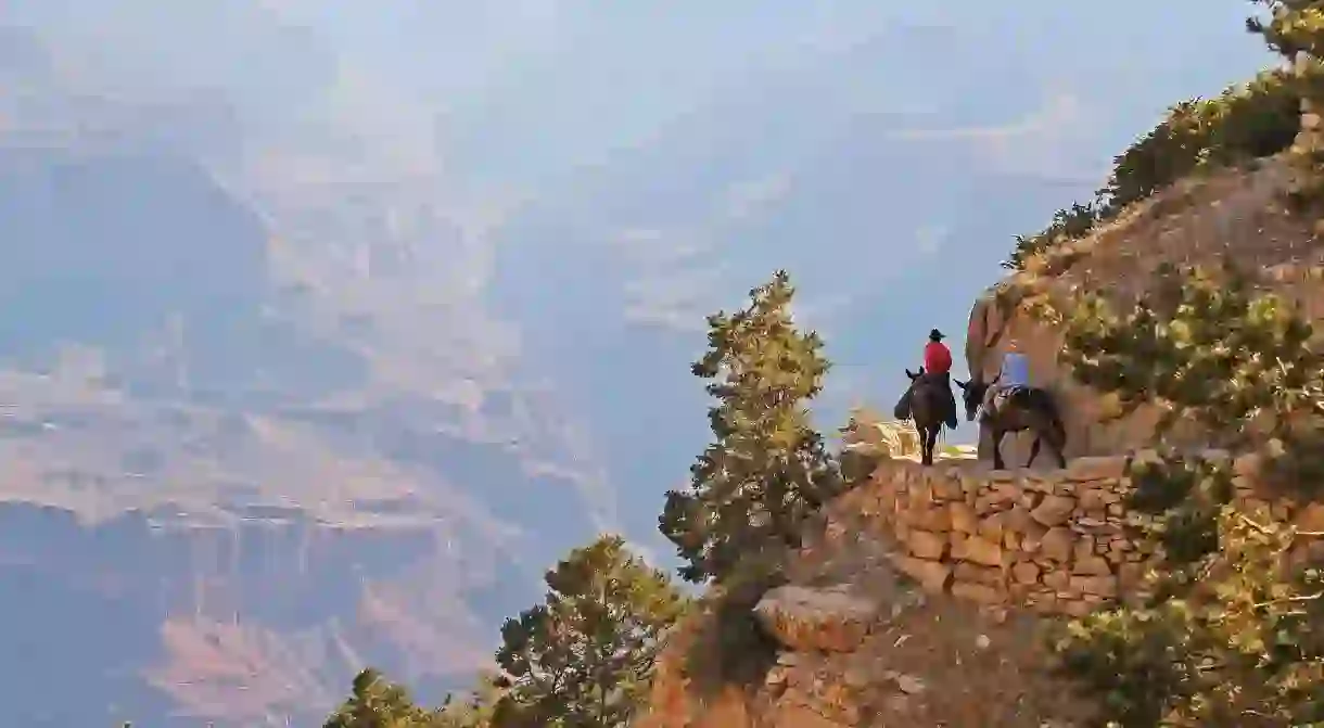 Thunderbird Lodge offers canyon-view rooms right along the South Rim