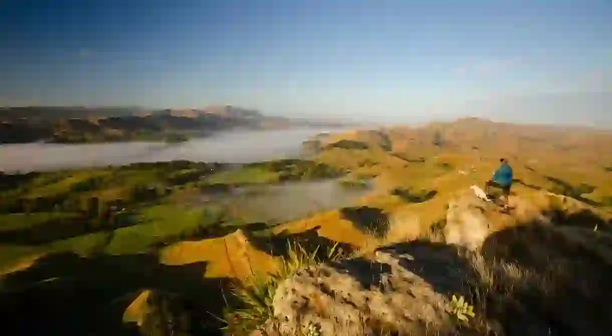 Take in the expansive views with your pup from atop Te Mata Peak