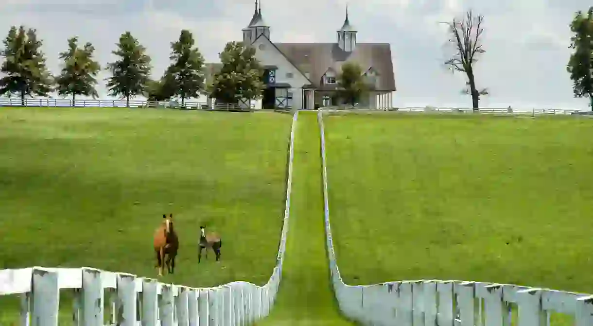 Kentucky Horse Park celebrates humanitys relationship with the horse and its special significance to the history of the state