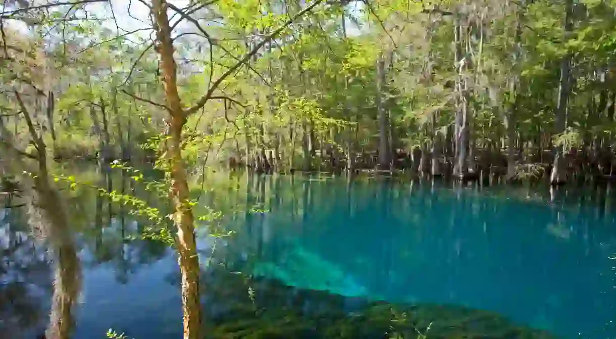 Manatee Springs State Park, in Florida, is one of many undiscovered gems in the Southeastern States