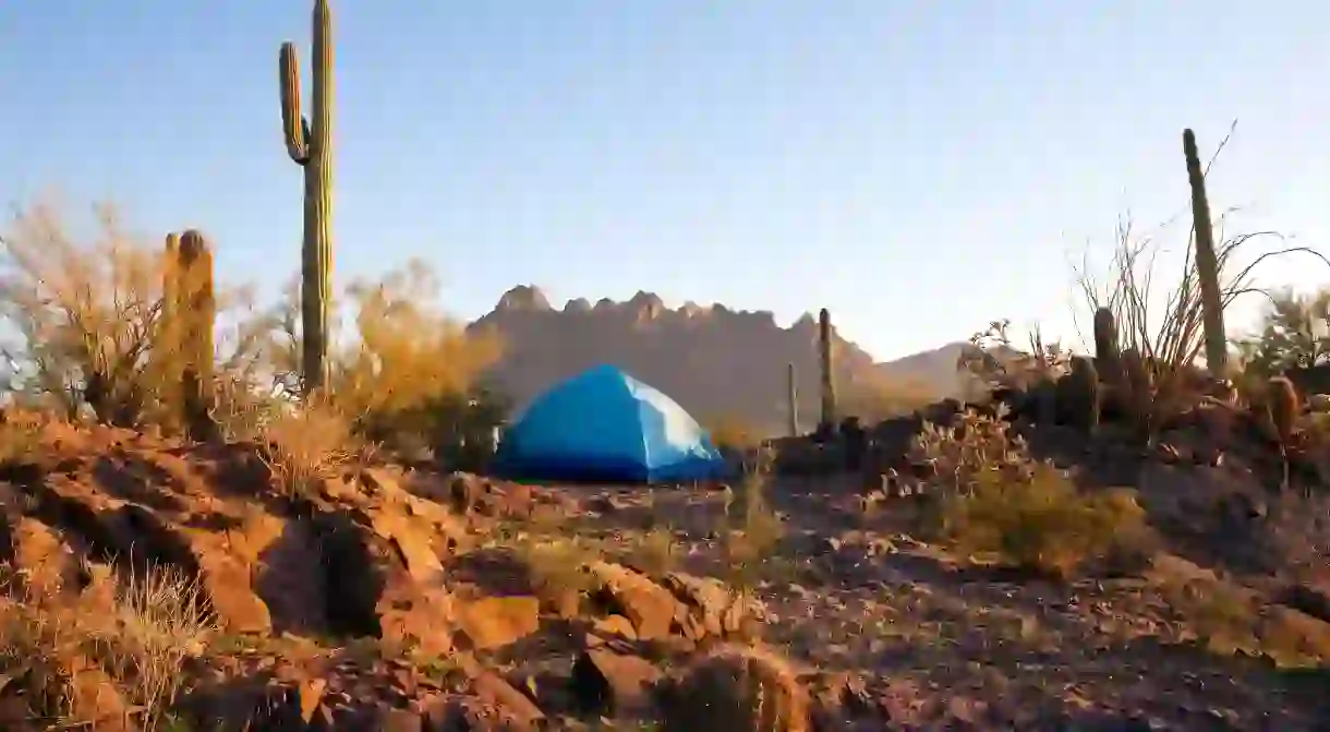 Arizona is brimming with beautiful desert scenery, such as the Sonoran Desert, where you can go camping