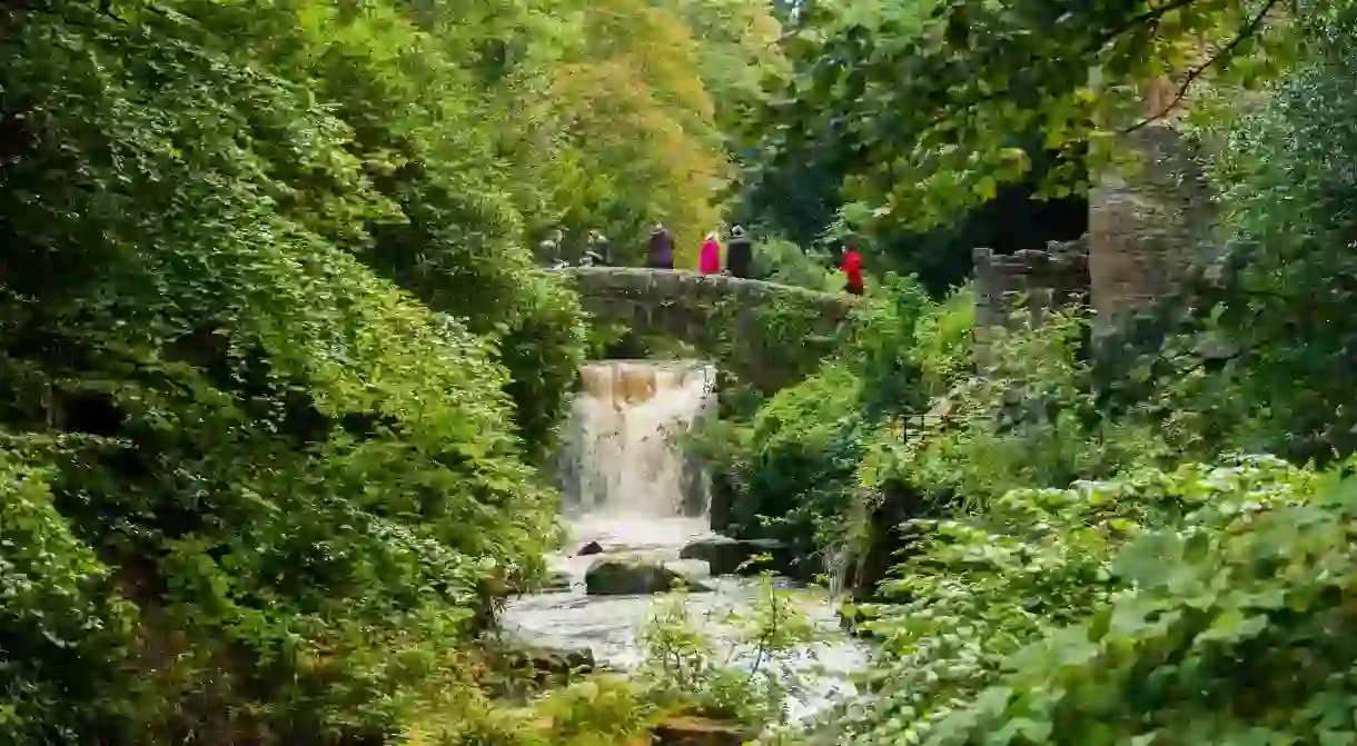 This mood-enhancing trail through Jesmond Dene woodlands, in Newcastle, takes in a scenic waterfall