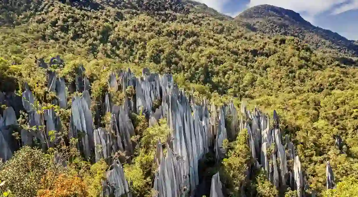 Pinnacles in Gunung Mulu National Park is one of the best things to see near Miri