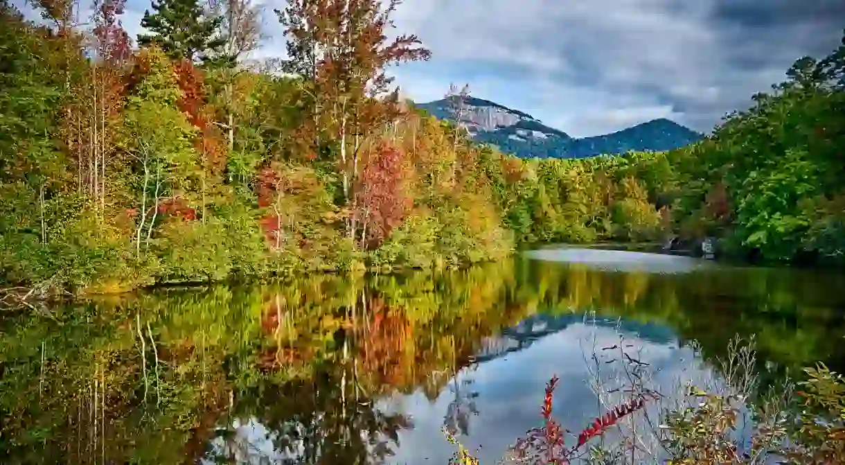 South Carolina has some incredible natural sites to explore inland, from expansive rivers and lakes to organic farms and pine forests