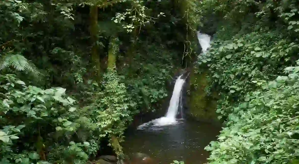 For wildlife lovers, there’s no finer place to be than Monteverde Cloud Forest in Costa Rica