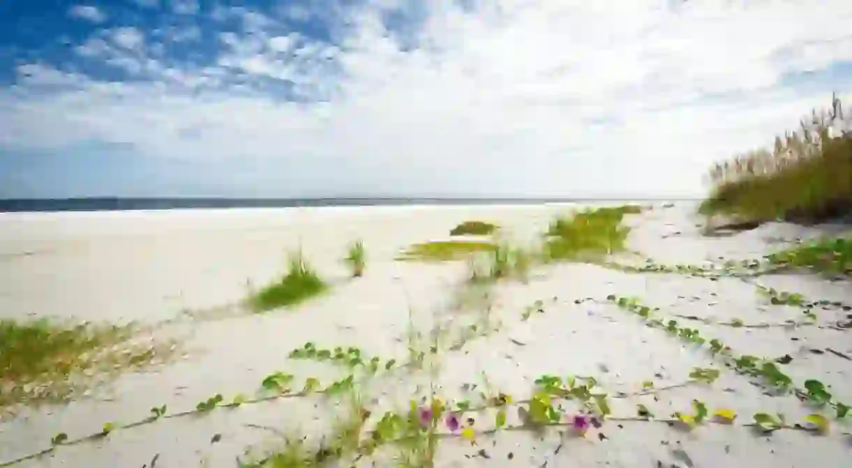 The picturesque beach at the northern tip of Anna Maria Island, Florida