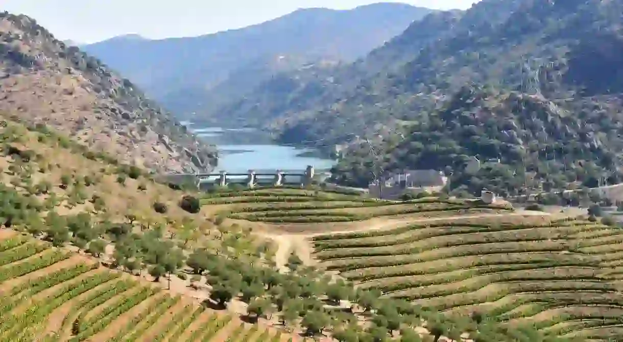 The Parque Natural do Douro Internacional sits on the border between Spain and Portugal