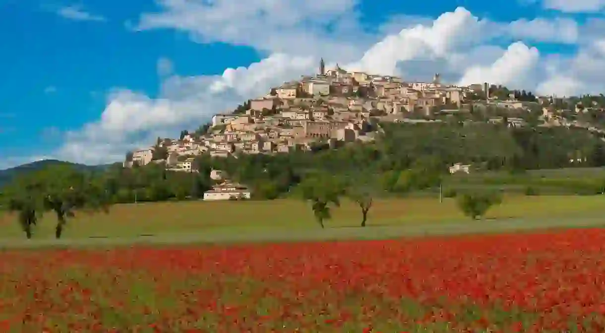 Visit Trevi, a medieval town in the Umbria region, in the spring and catch a glimpse of the poppy fields