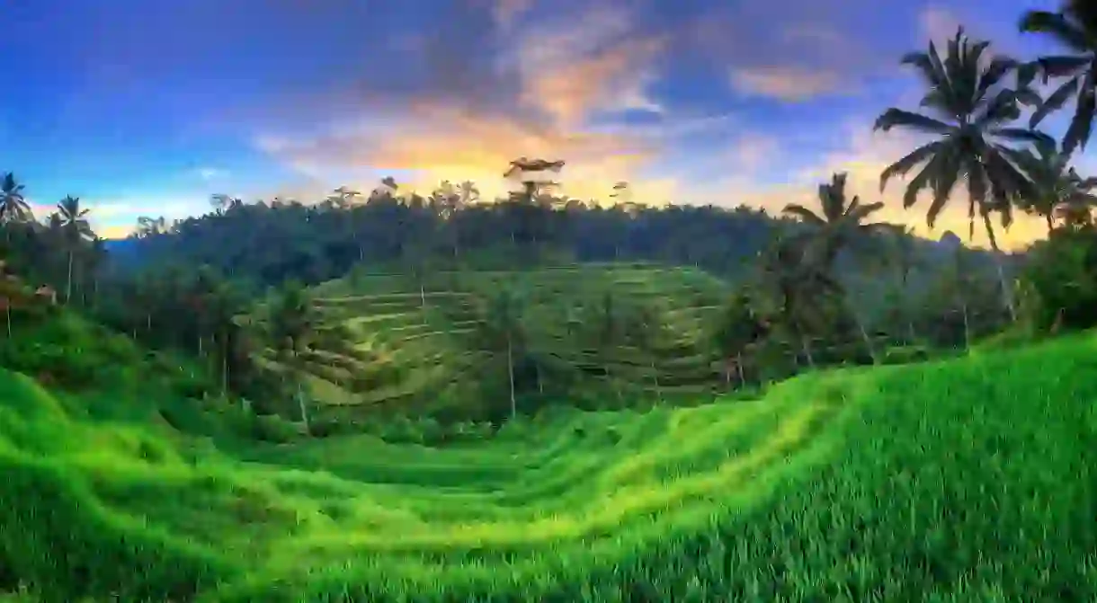 From yoga classes and art galleries to sunrises on rice terraces, Ubud, Bali has a plethora of wonder to offer