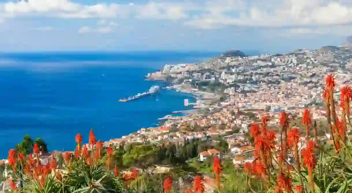 Enjoy scenic views across Madeiras capital city of Funchal among the abundance of flora and fauna on this magnificent island