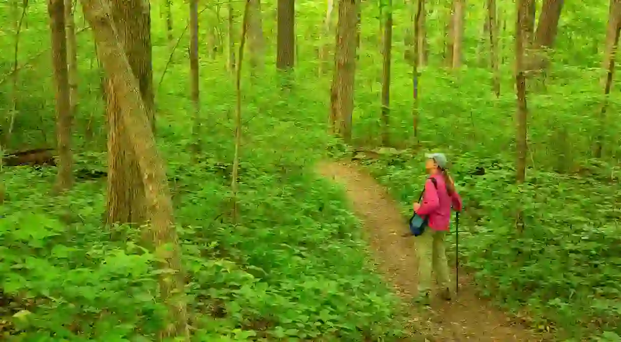 Hoosier National Forest, Indiana, is a paradise for hikers