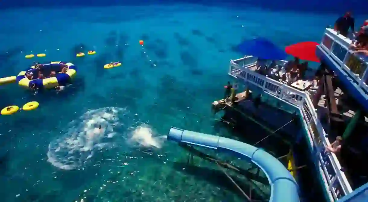 Take a cocktail break to enjoy the water slide at Margaritaville in Montego Bay, Jamaica