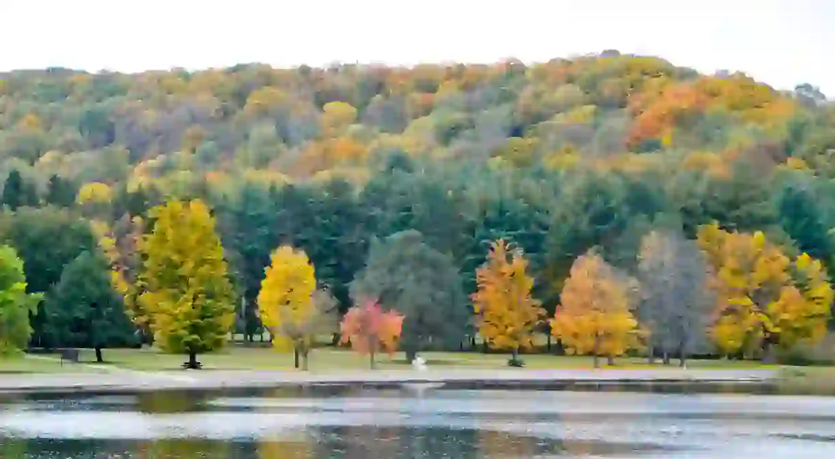 Staying in Red House means youre close to the colorful fall foliage of Lake Allegany State Park