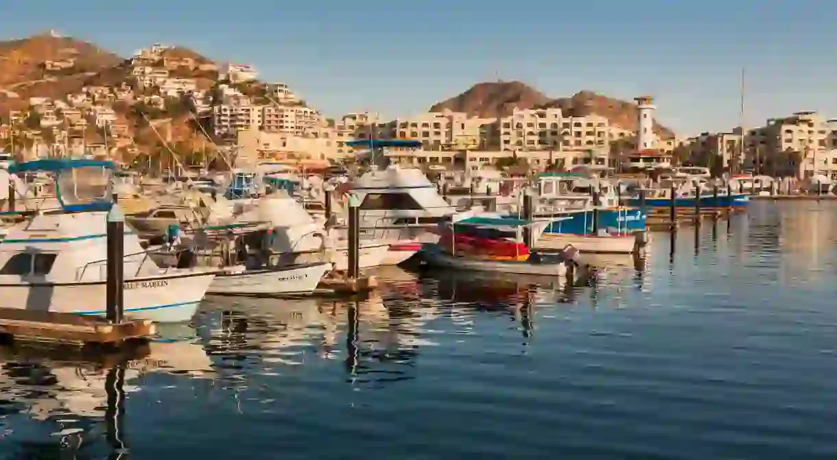 Cabo San Lucas has no shortage of watering holes, from the marina to the beach