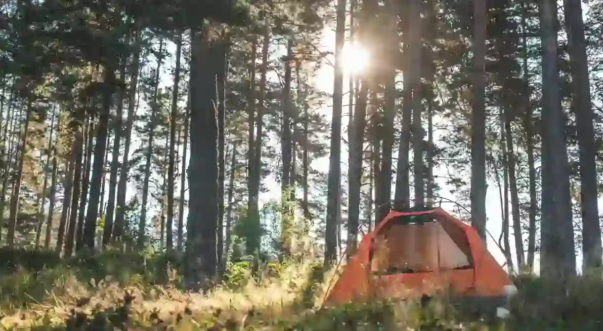 Get in touch with nature by camping