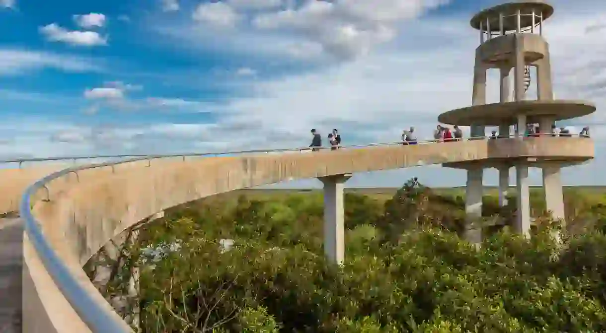 The Shark Valley Tower offers expansive views of Everglades National Park