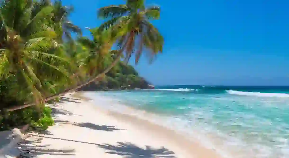 Jamaicas beautiful sandy beaches draw visitors year after year