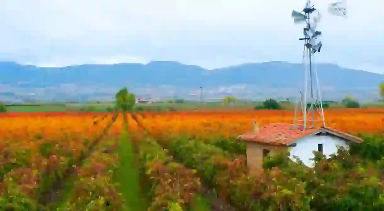 La Rioja in Spain is dotted with vineyards, such as this one in Haro