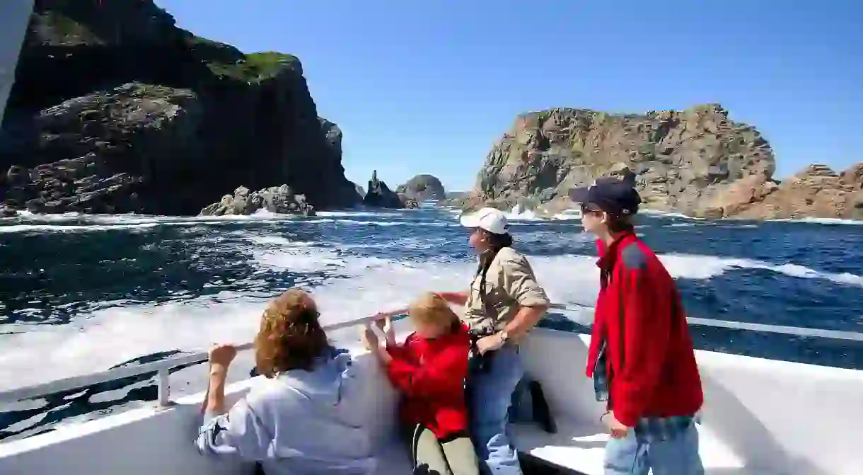 Welcome to The Rock: rugged coastlines and bracing outdoor adventures await visitors to Newfoundland and Labrador