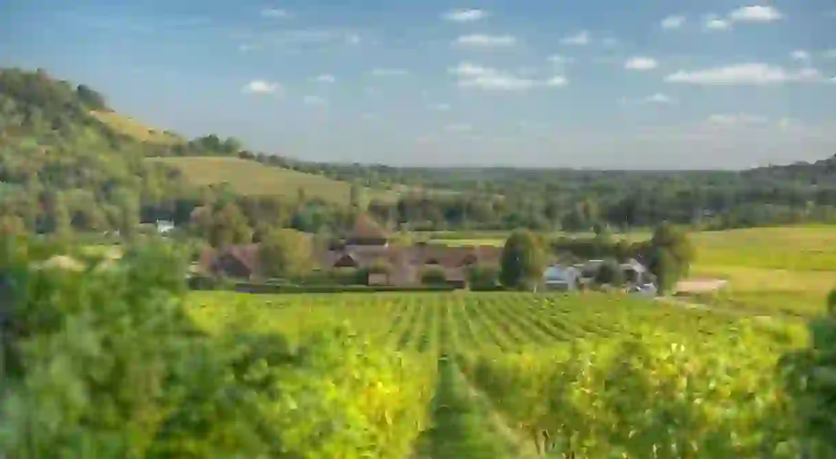 Denbies Vineyard Hotel offers spectacular views and a peaceful setting