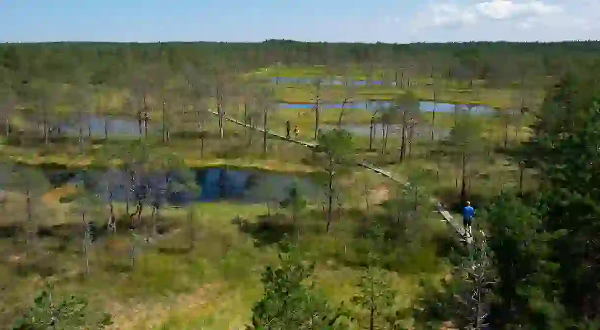 Swimmers can enjoy the fresh waters of Viru Bog in Lahemaa National Park until most of it freezes in the colder months