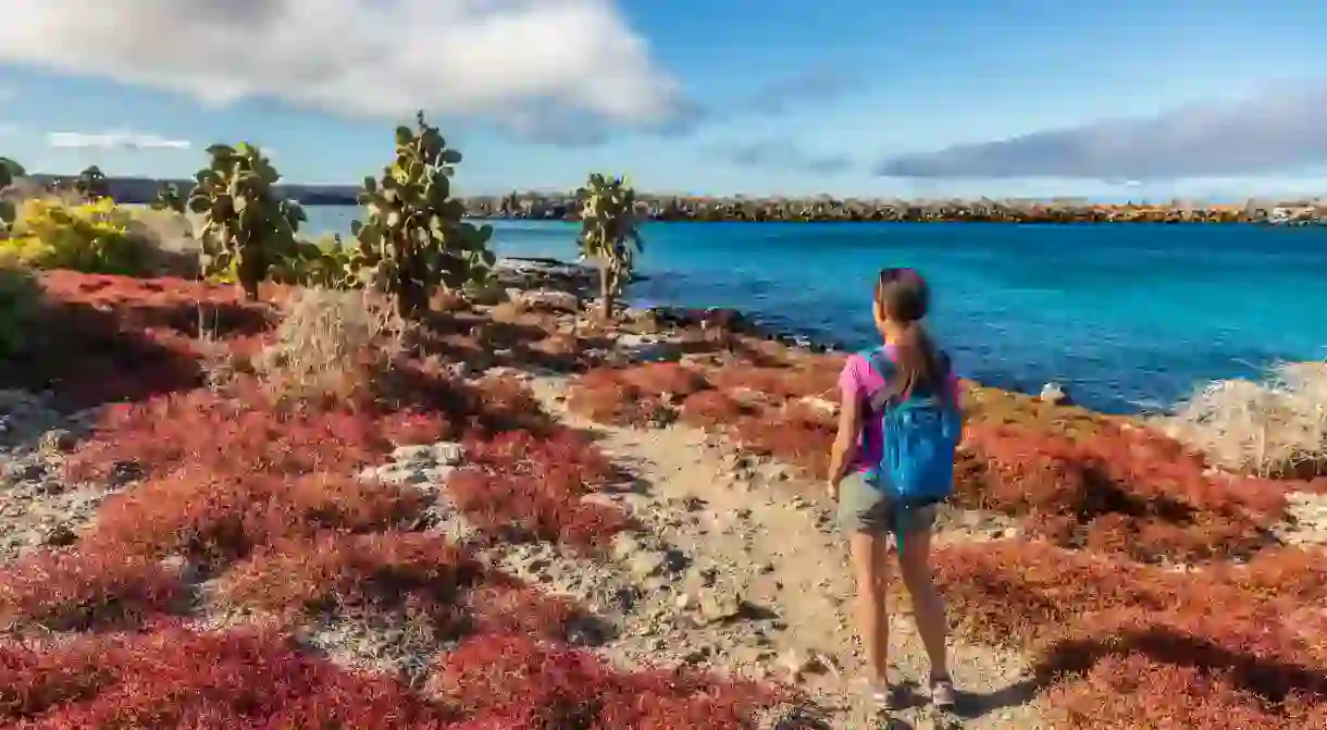 Tourist hiking on North Seymour, Galapagos Islands