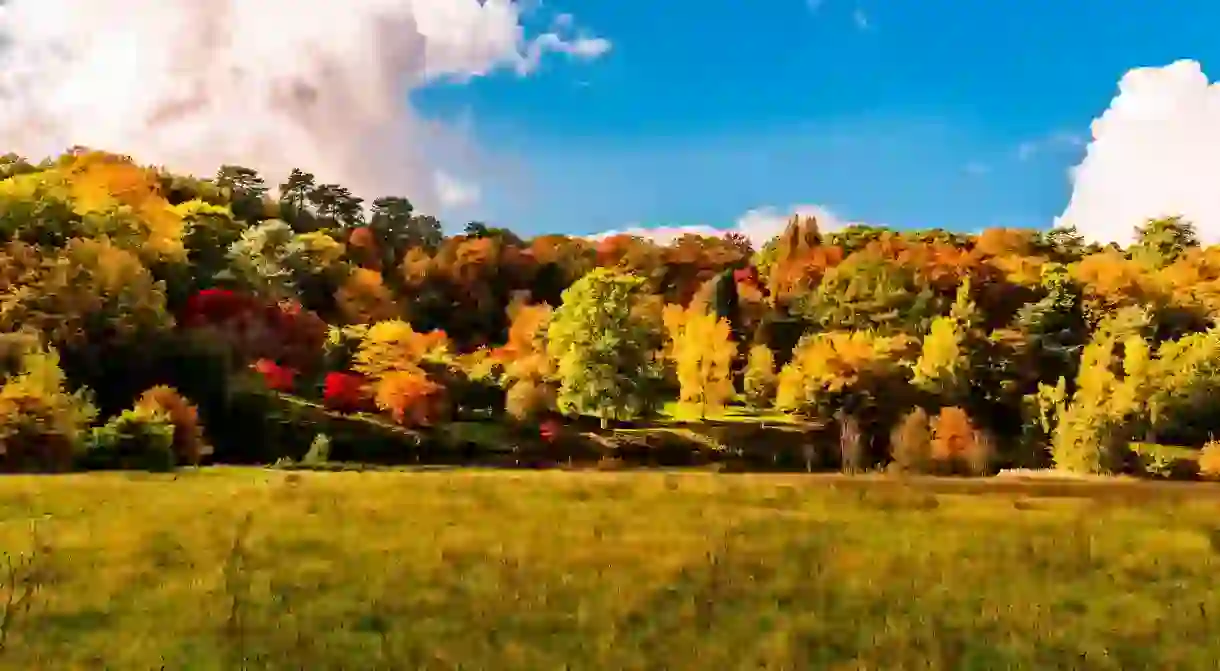 Visiting Winkworth Arboretum in autumn in a must